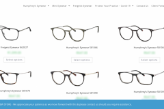 Eyewear partner e-commerce build