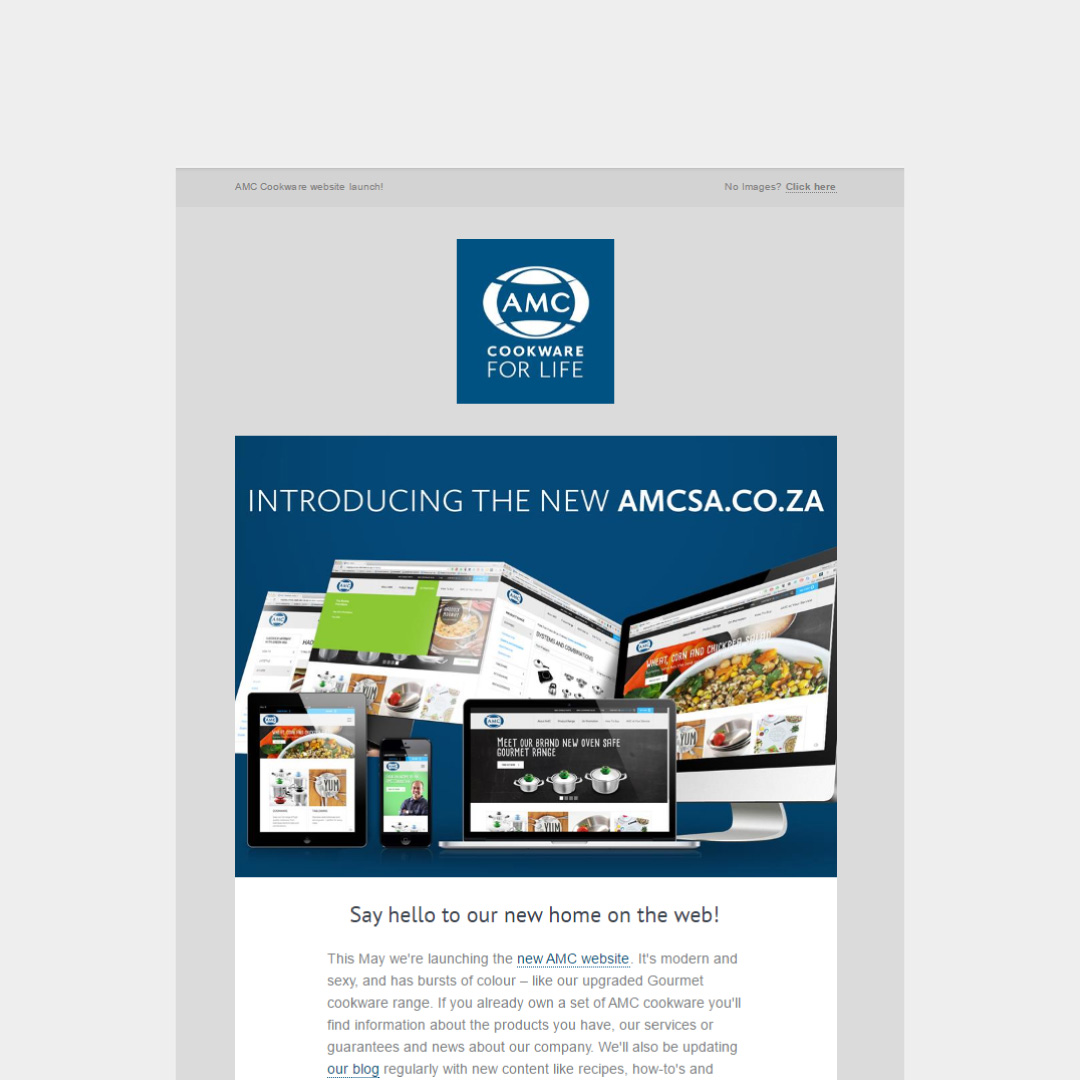 Screenshot of email announcing AMC Website launch